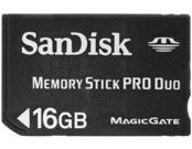 SanDisk Standard MSPD 16GB