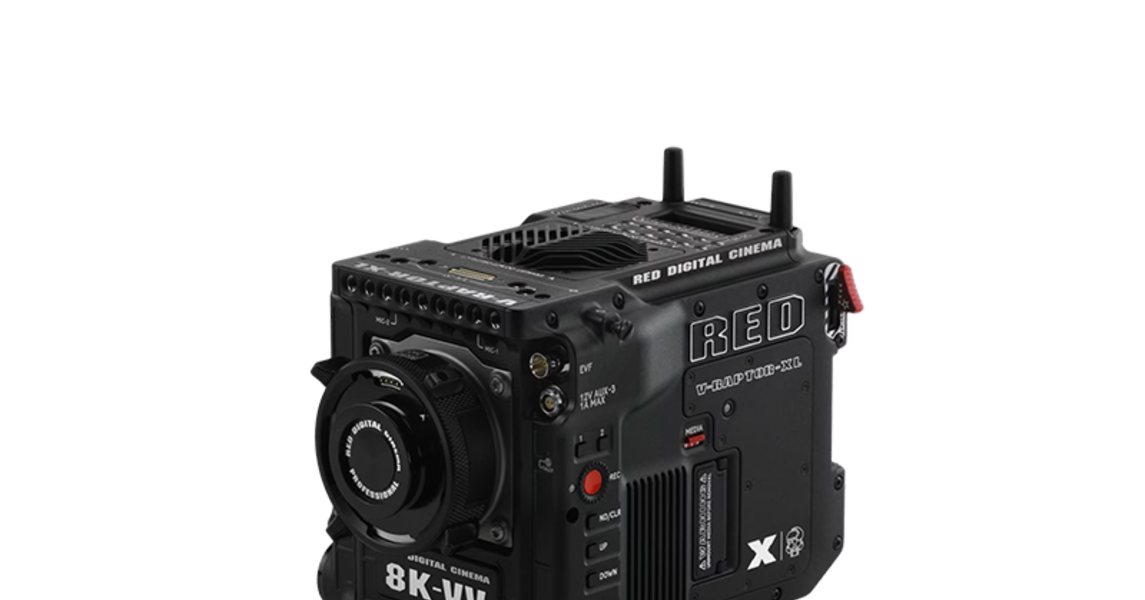 RED V-RAPTOR XL [X] Production Pack (Gold Mount) fără baterii | Yellow Store