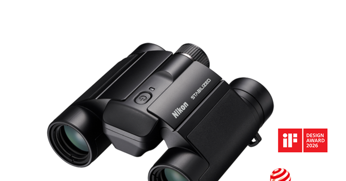 Binoclu Nikon STABILIZED 10x25 S