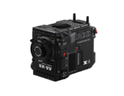  RED V-RAPTOR XL [X] (Gold Mount)  2