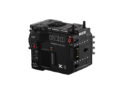  RED V-RAPTOR XL [X] (Gold Mount)  3