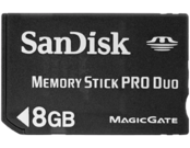 SanDisk Standard MSPD 8GB
