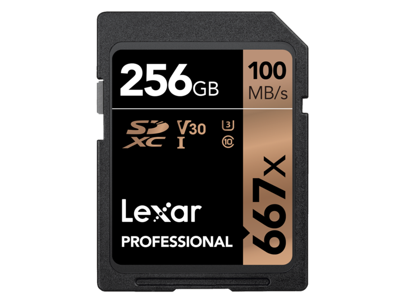 256GB SDXC CLS10 UHS-I 100MB/s citire, 90MB/s scriere
